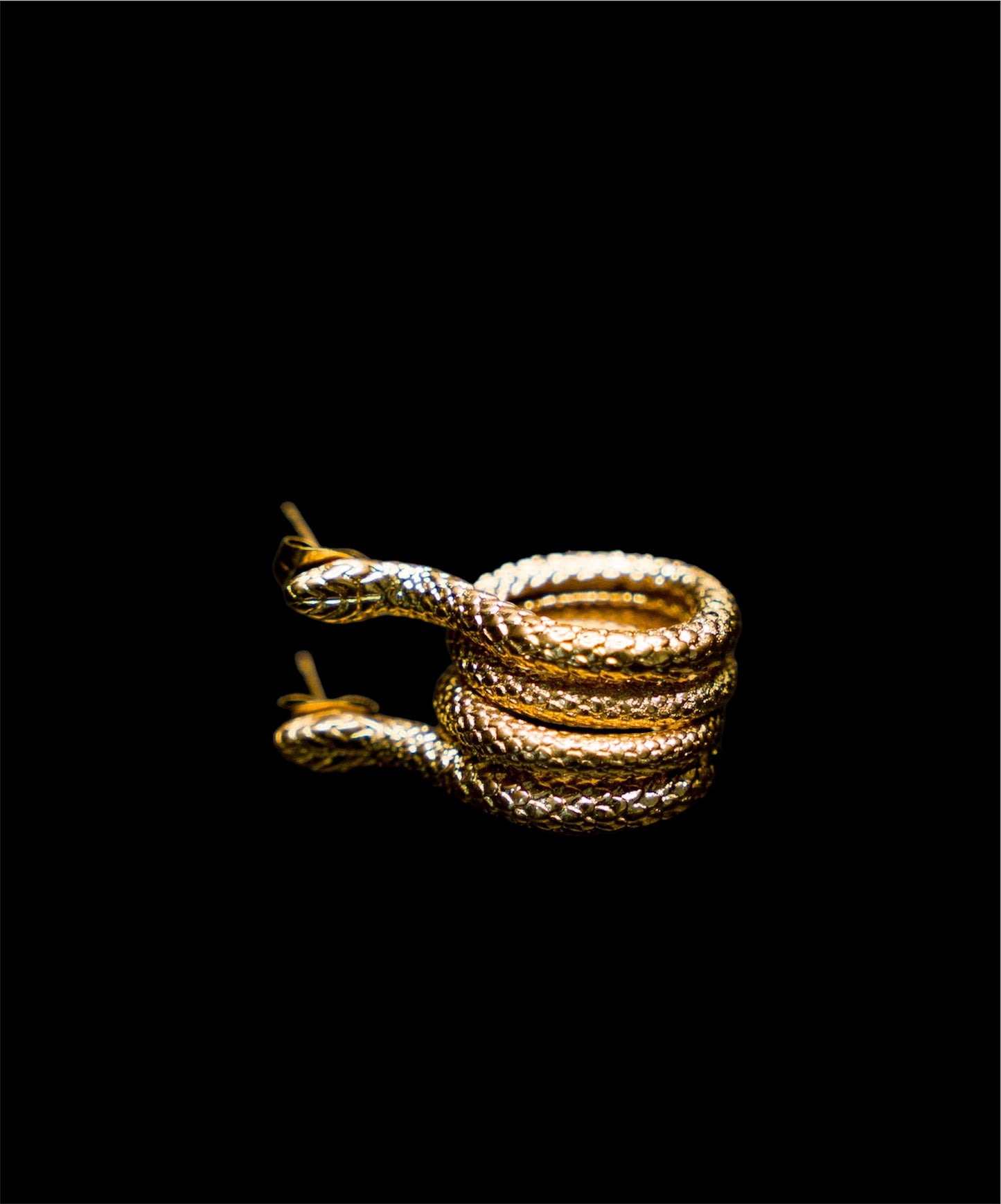 Snake jewelry