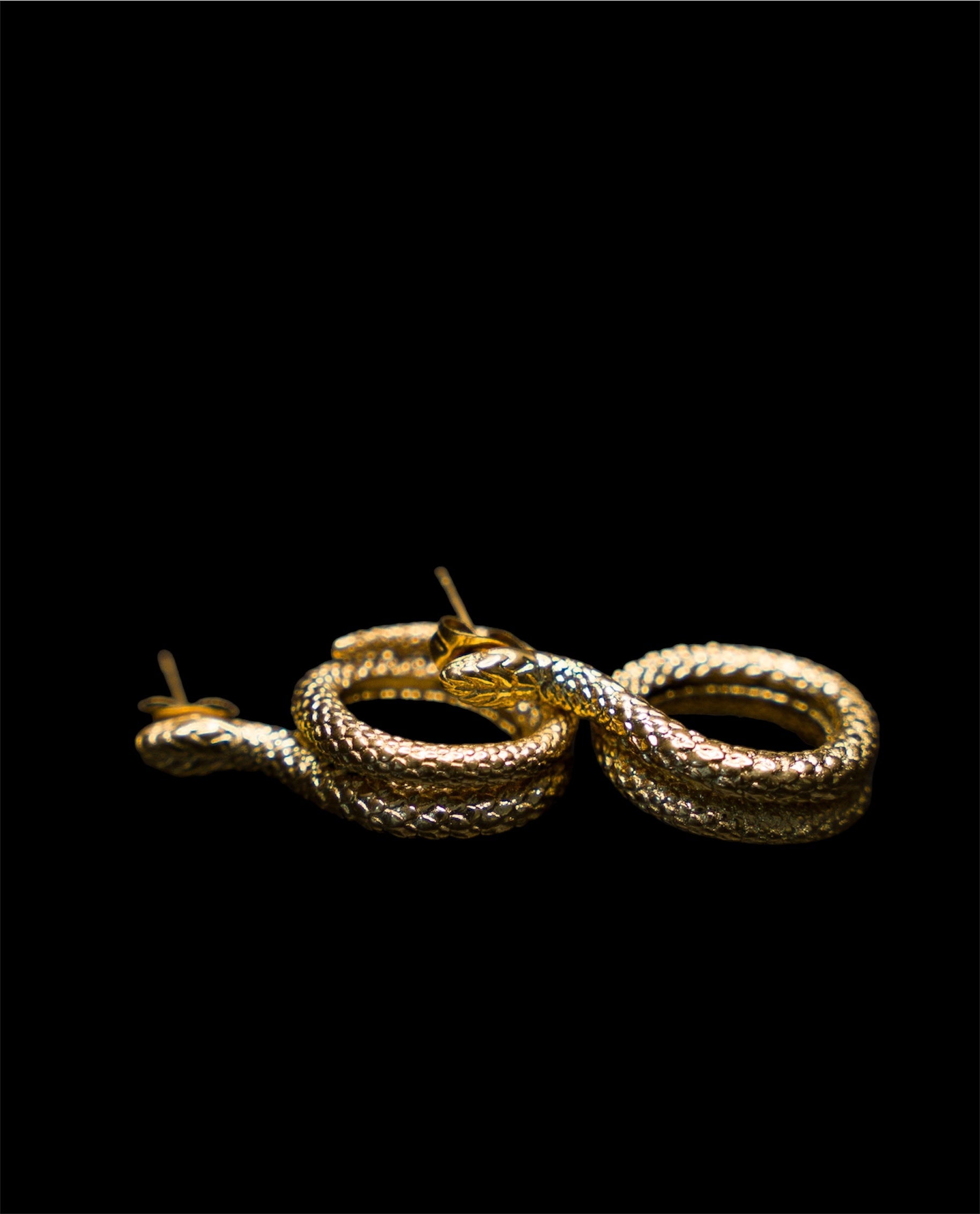 Snake earrings